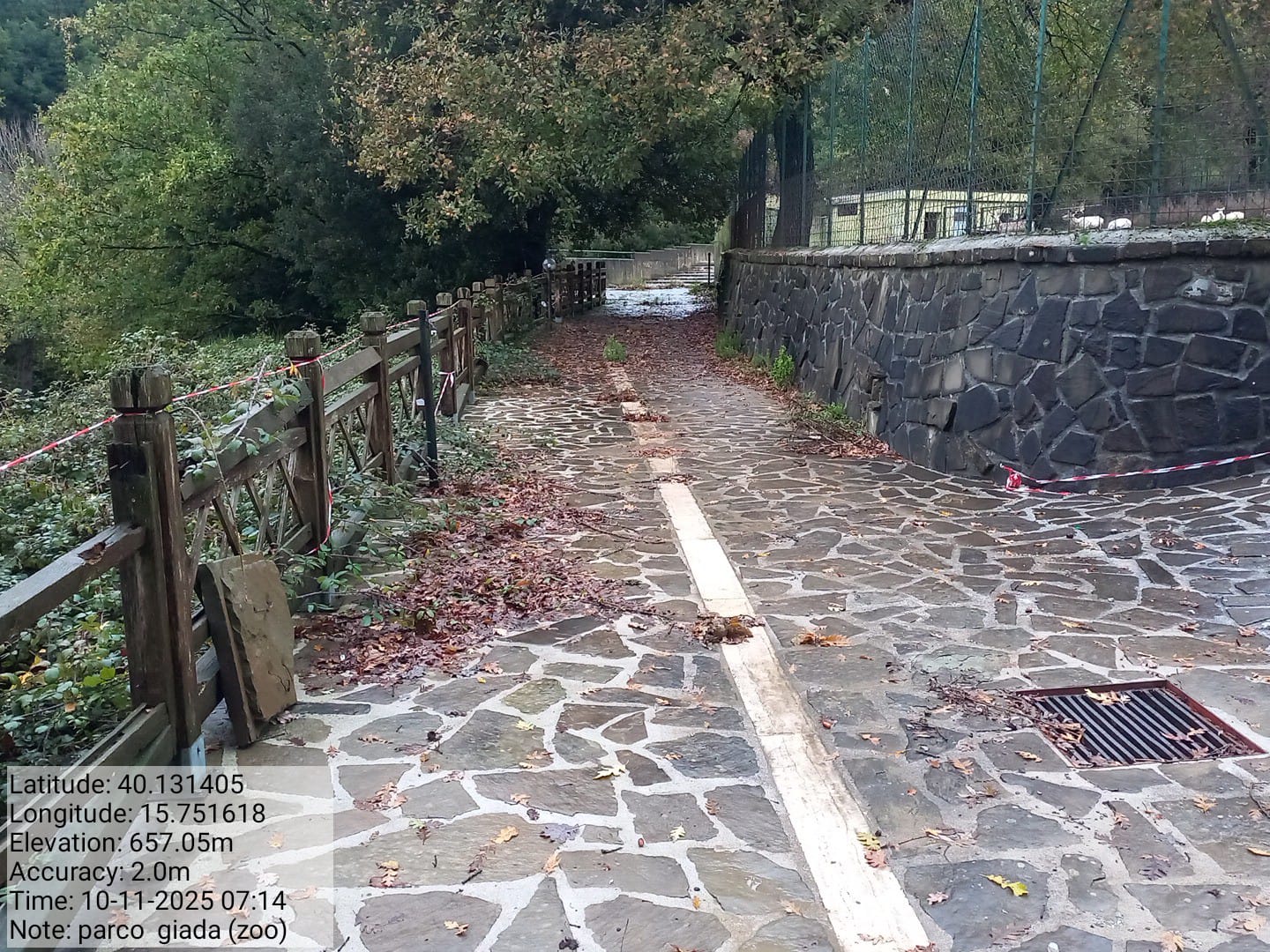 Galleria Fotografica Immagine