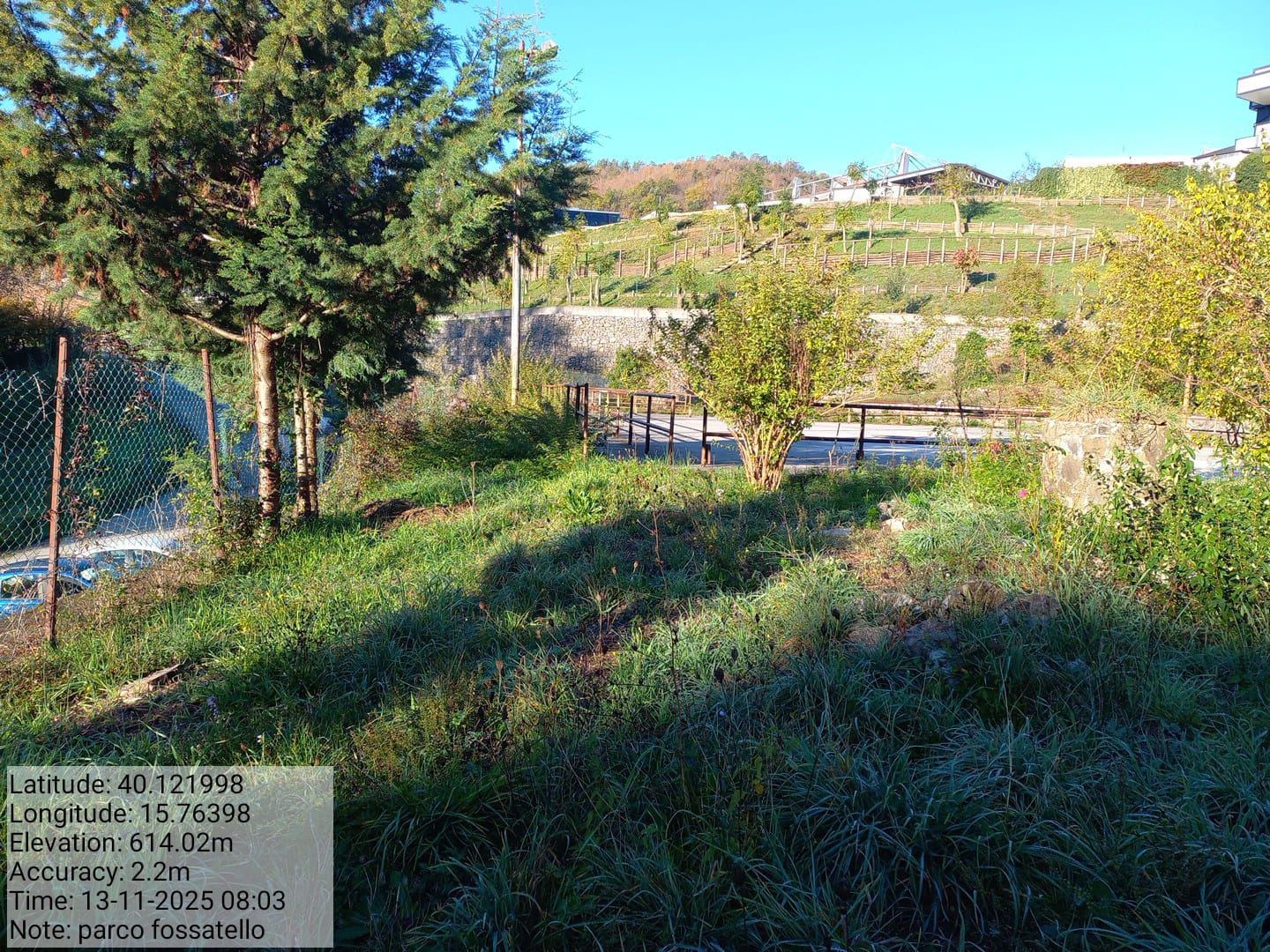 Galleria Fotografica Immagine