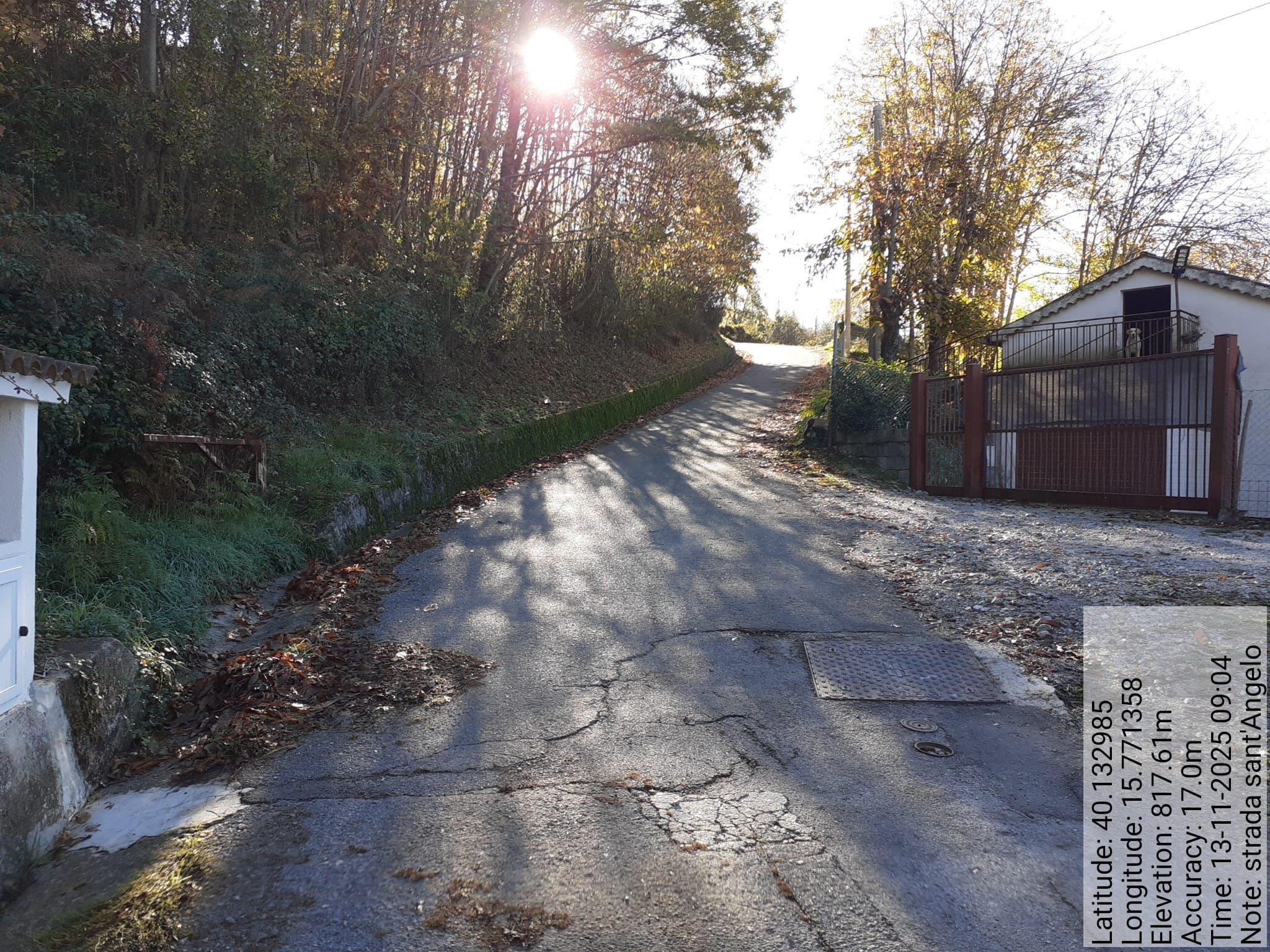 Galleria Fotografica Immagine