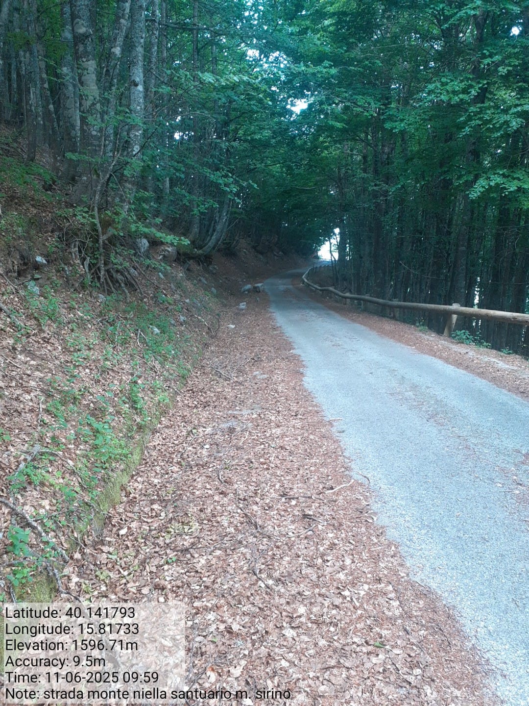 Galleria Fotografica Immagine