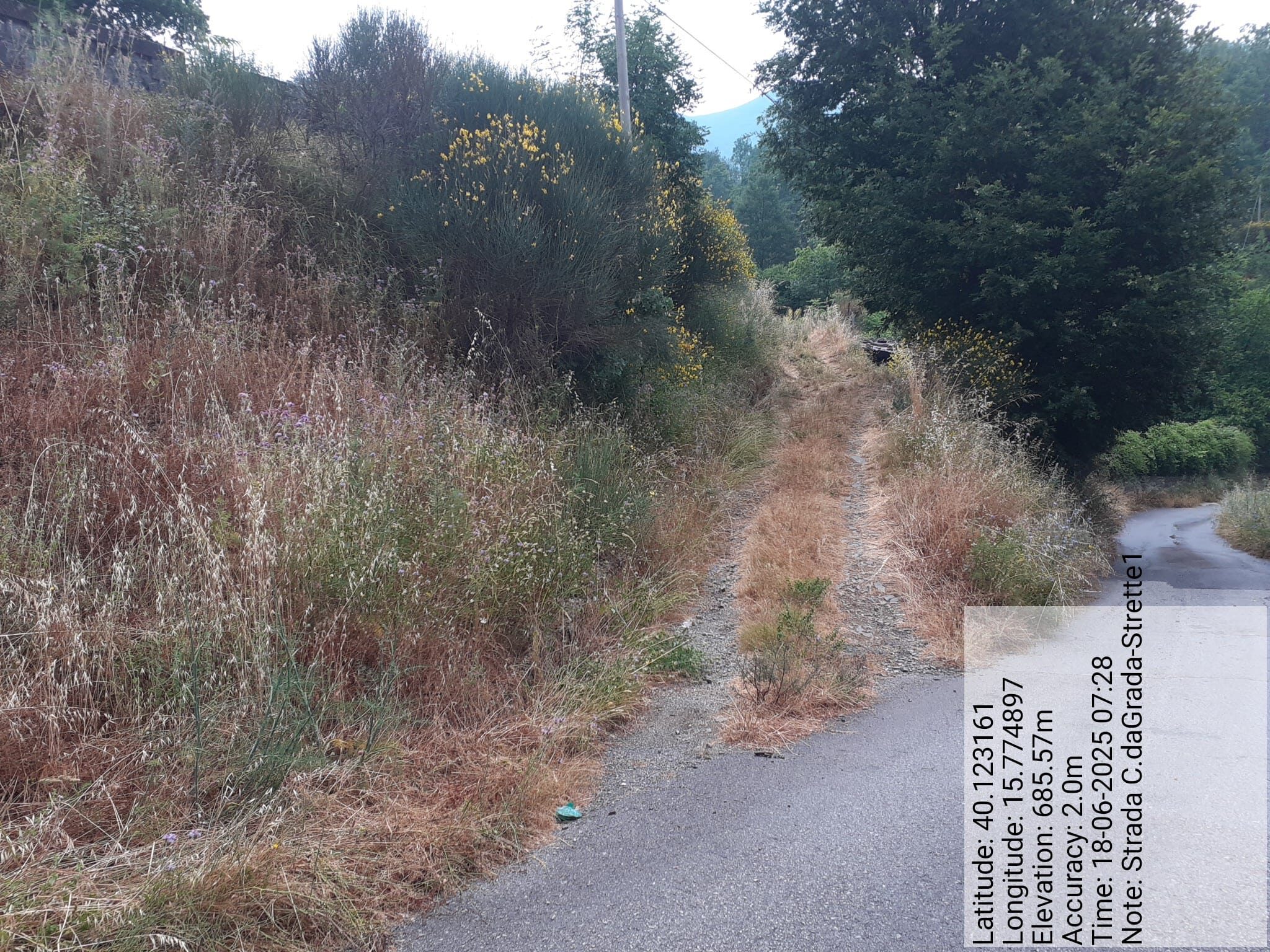 Galleria Fotografica Immagine