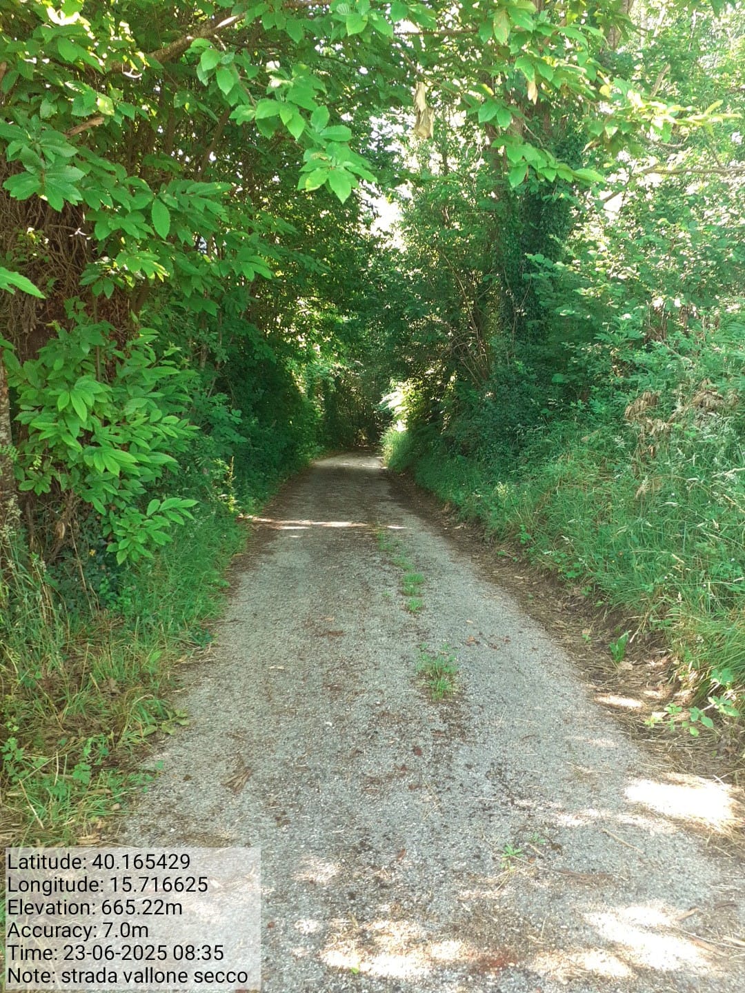 Galleria Fotografica Immagine