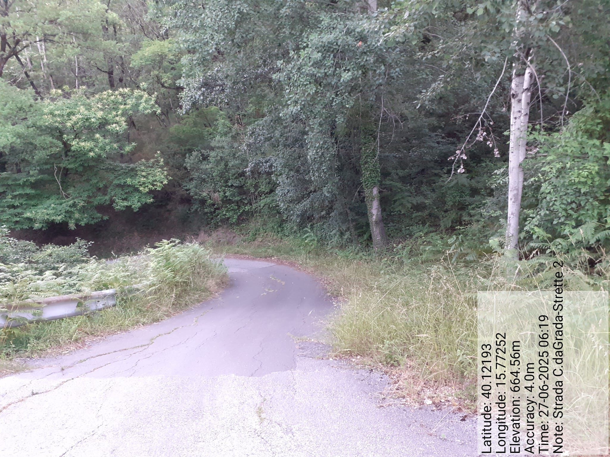 Galleria Fotografica Immagine