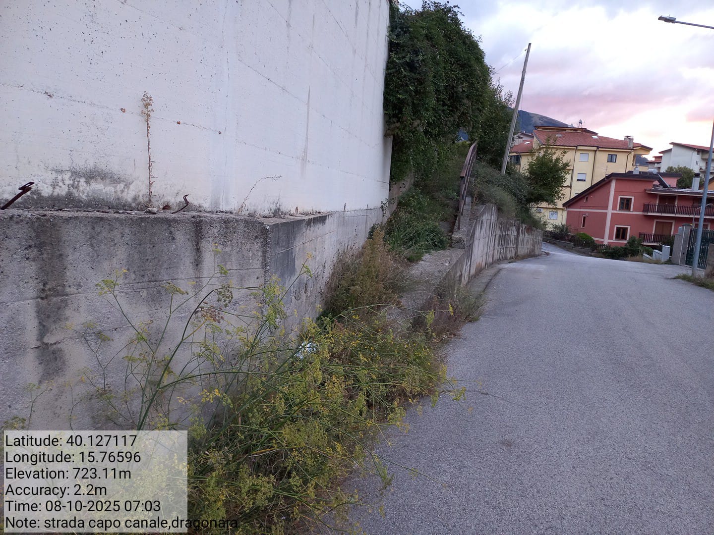 Galleria Fotografica Immagine