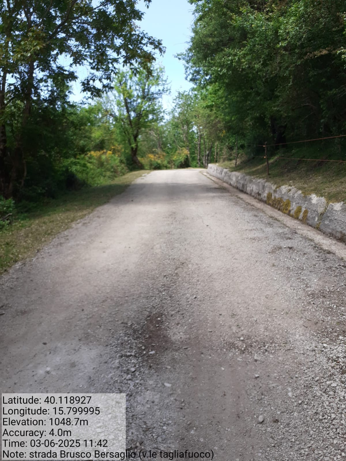 Galleria Fotografica Immagine