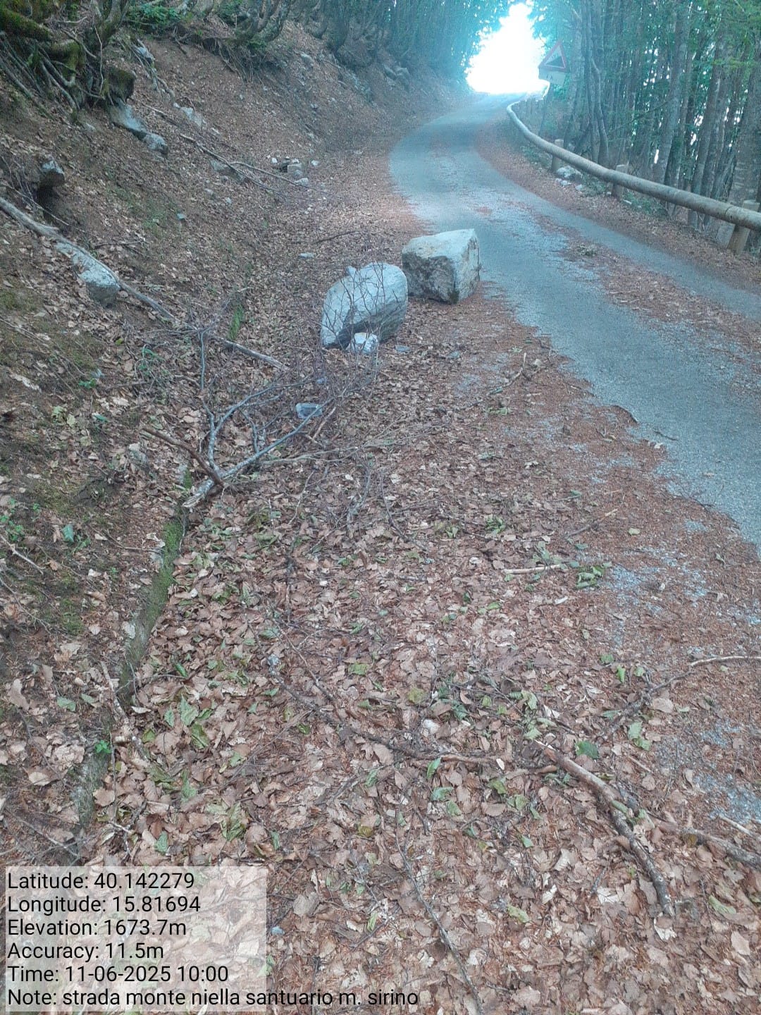 Galleria Fotografica Immagine