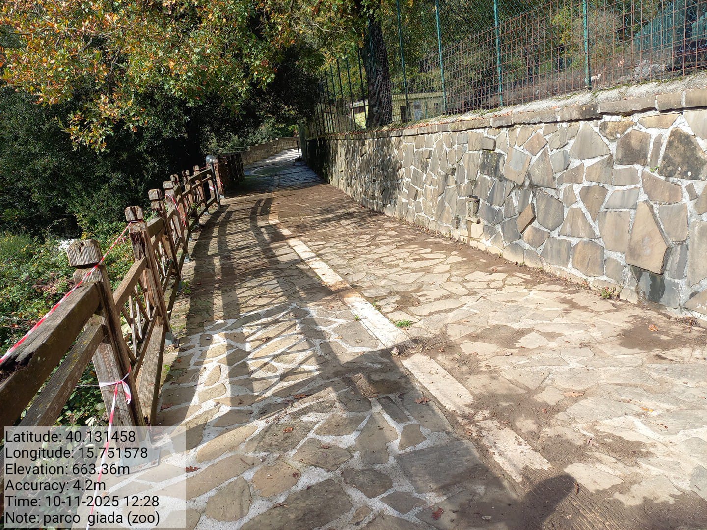 Galleria Fotografica Immagine