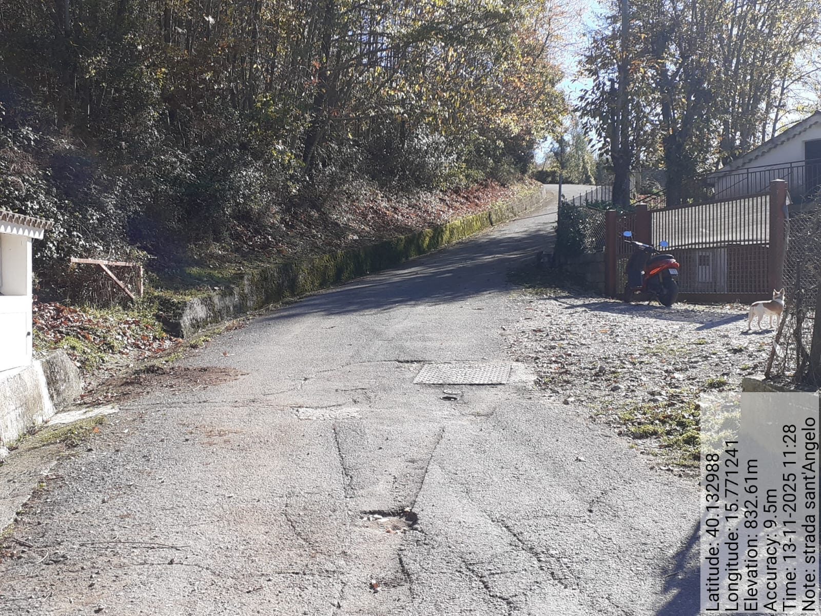 Galleria Fotografica Immagine