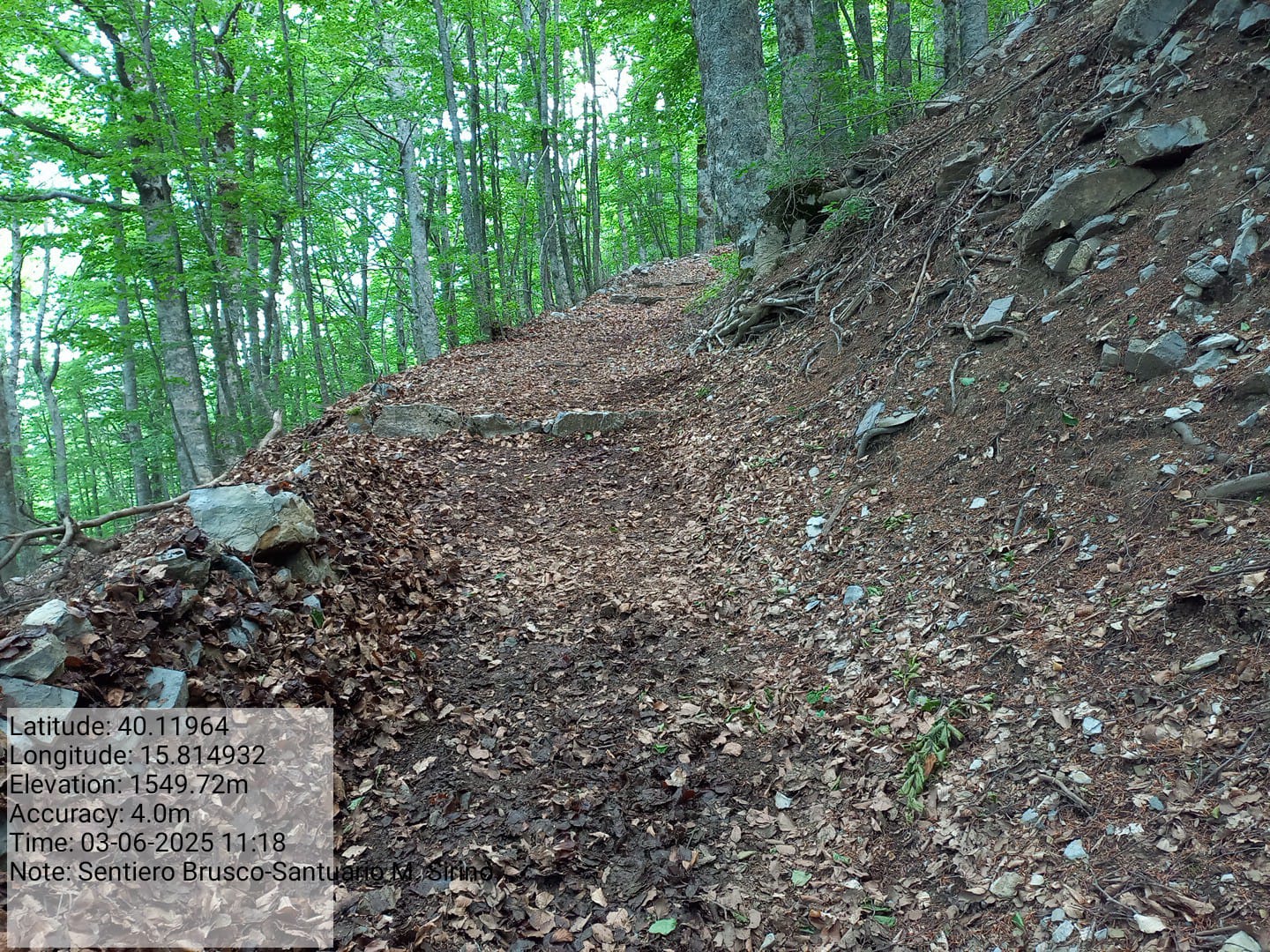 Galleria Fotografica Immagine