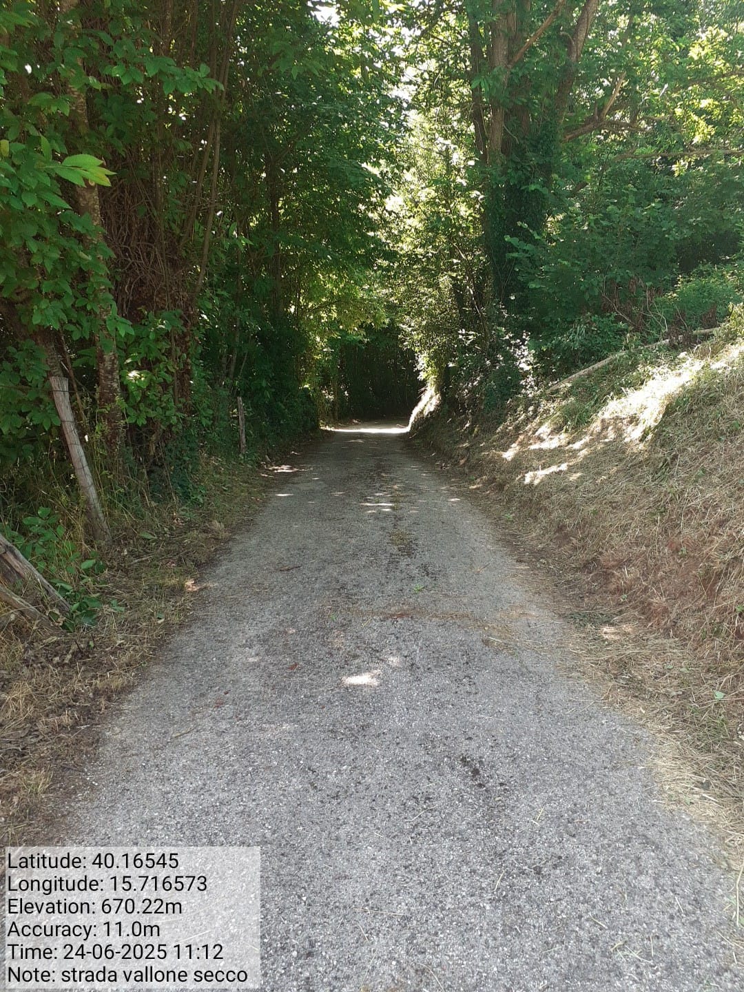 Galleria Fotografica Immagine