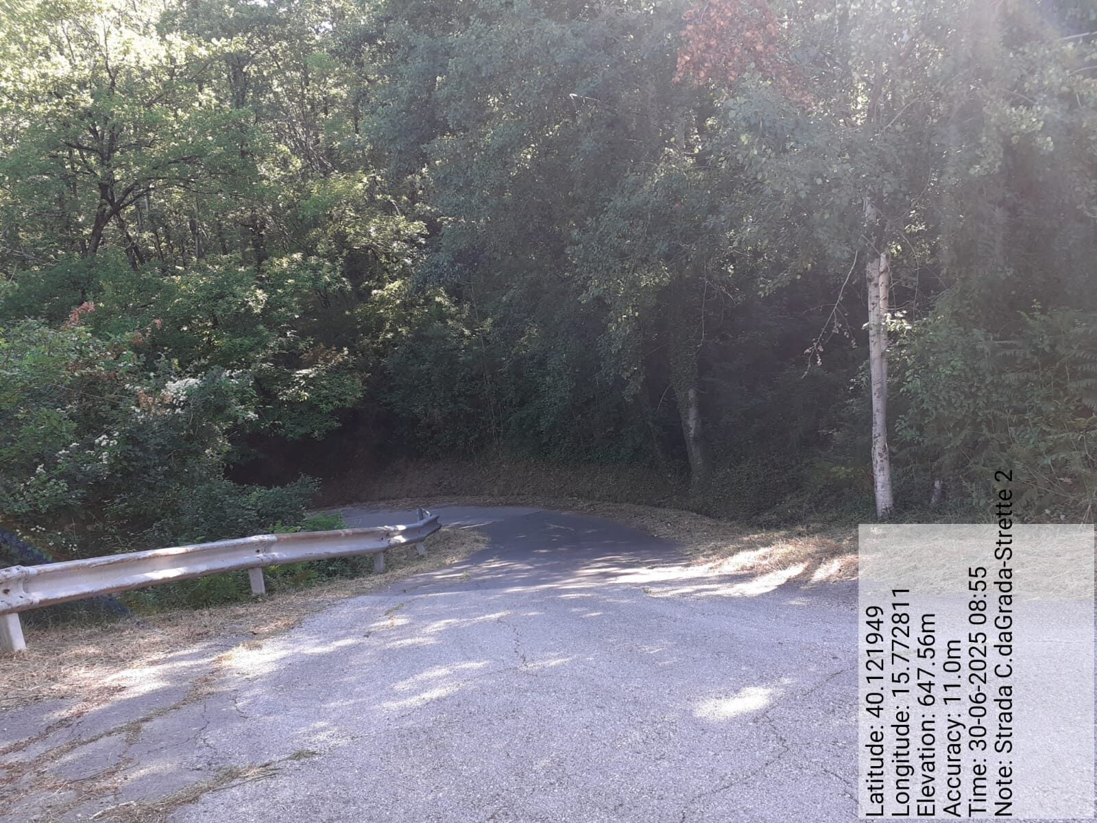 Galleria Fotografica Immagine