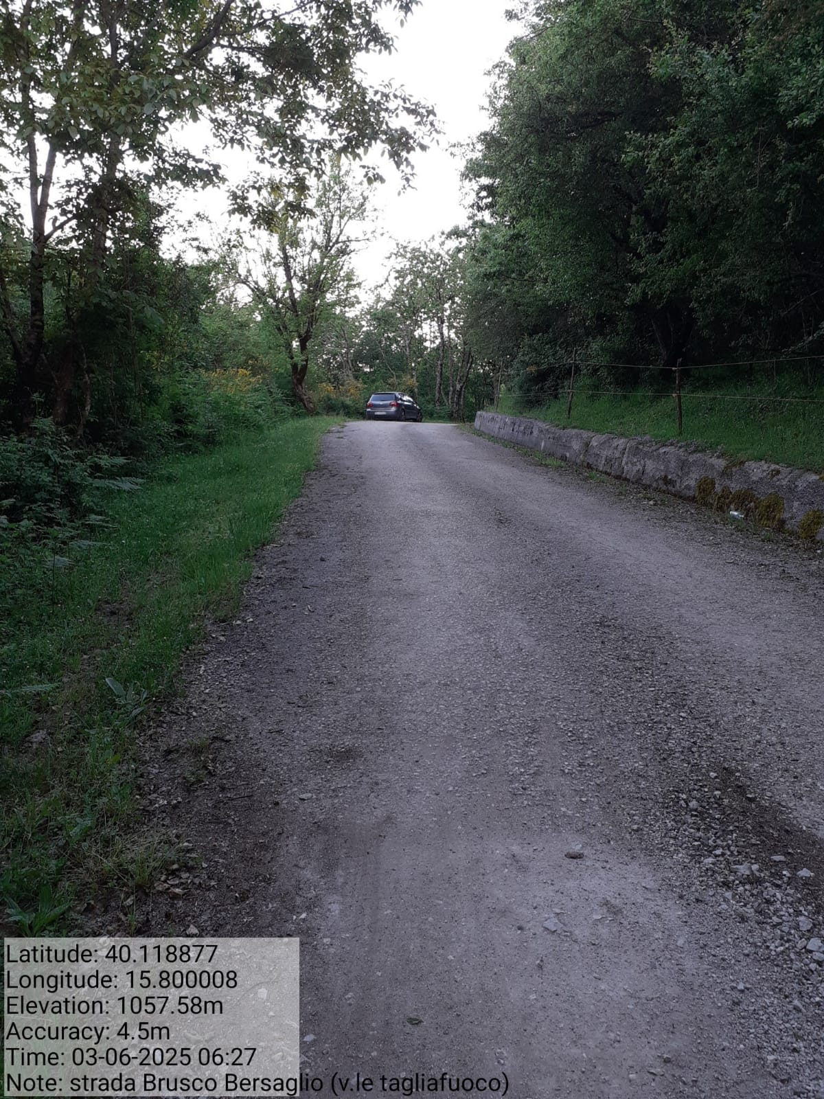 Galleria Fotografica Immagine