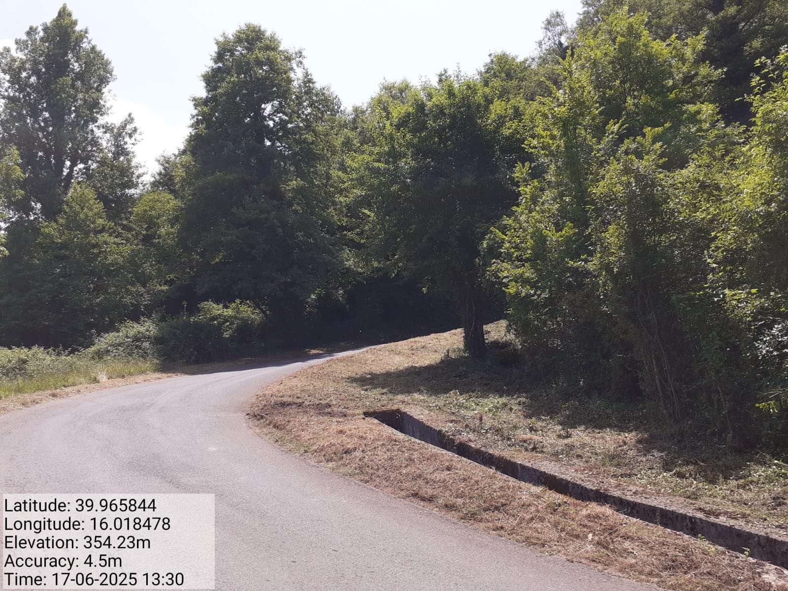 Galleria Fotografica Immagine