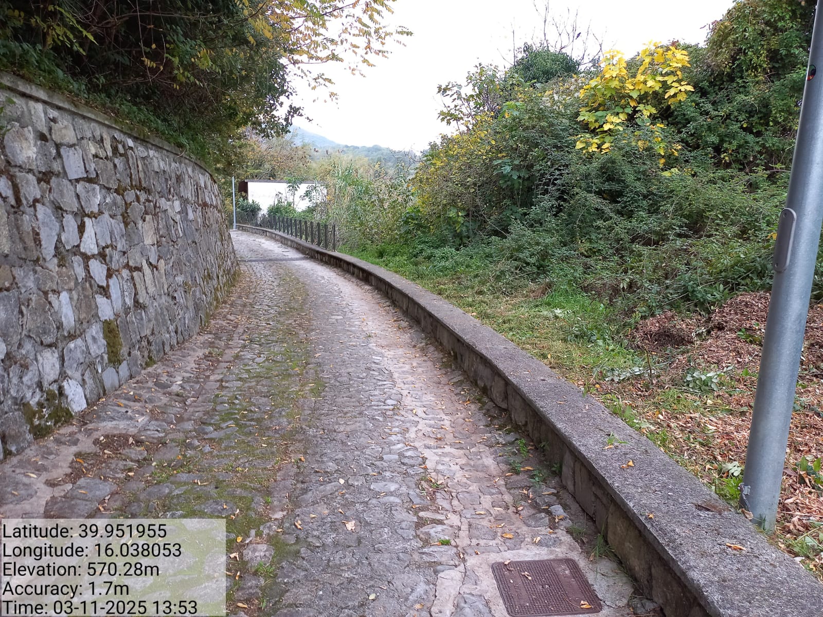 Galleria Fotografica Immagine