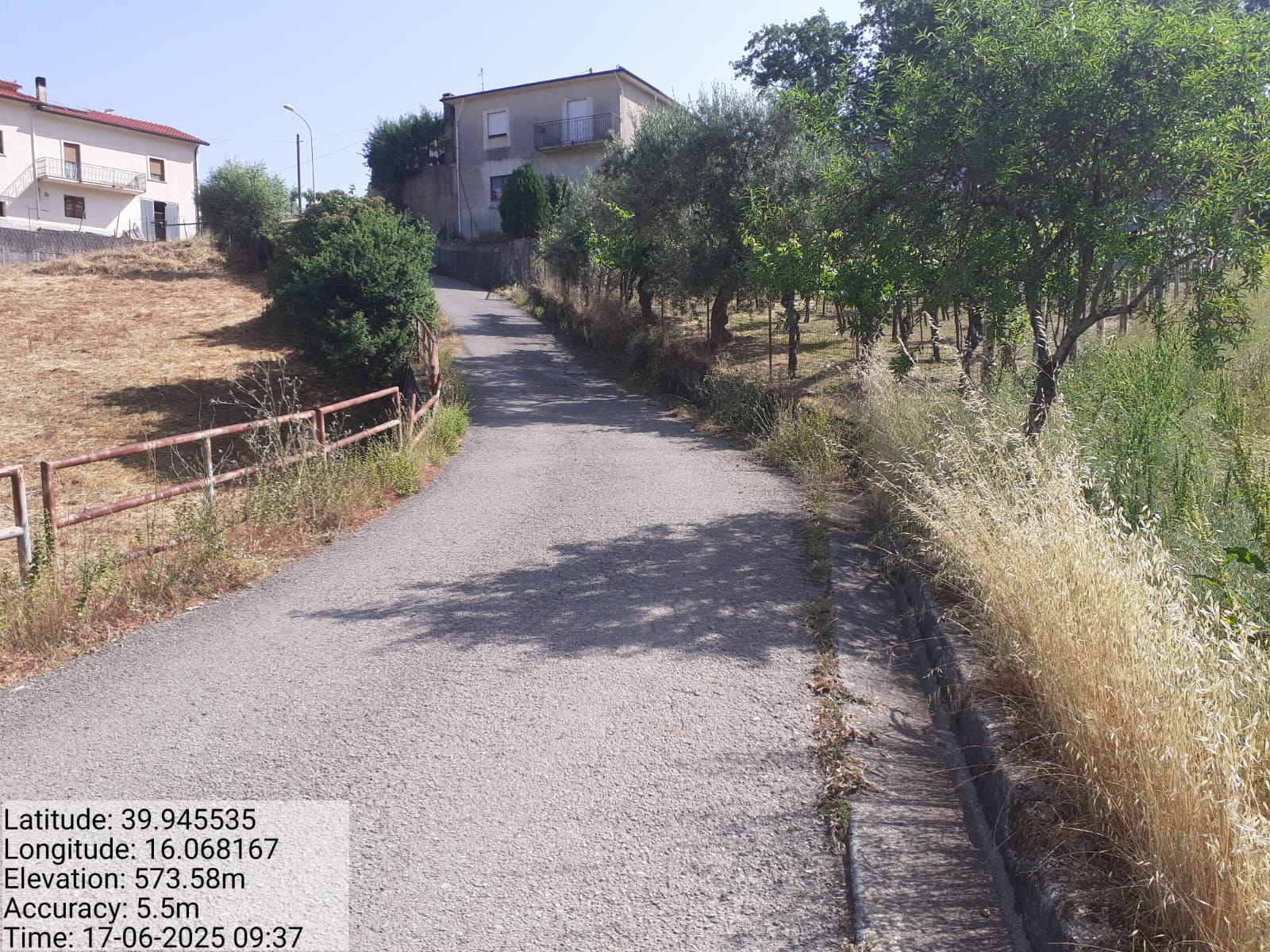 Galleria Fotografica Immagine