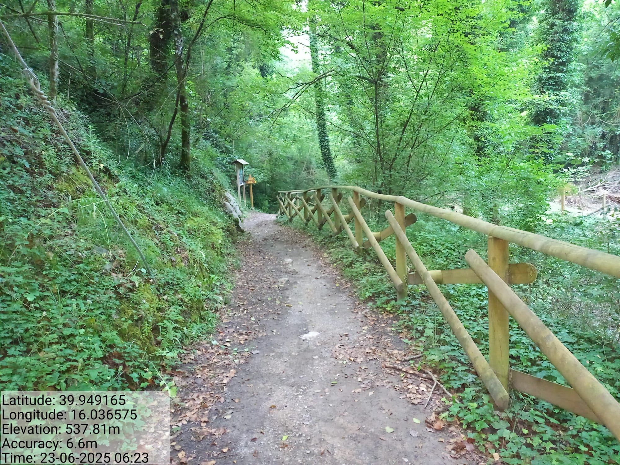 Galleria Fotografica Immagine