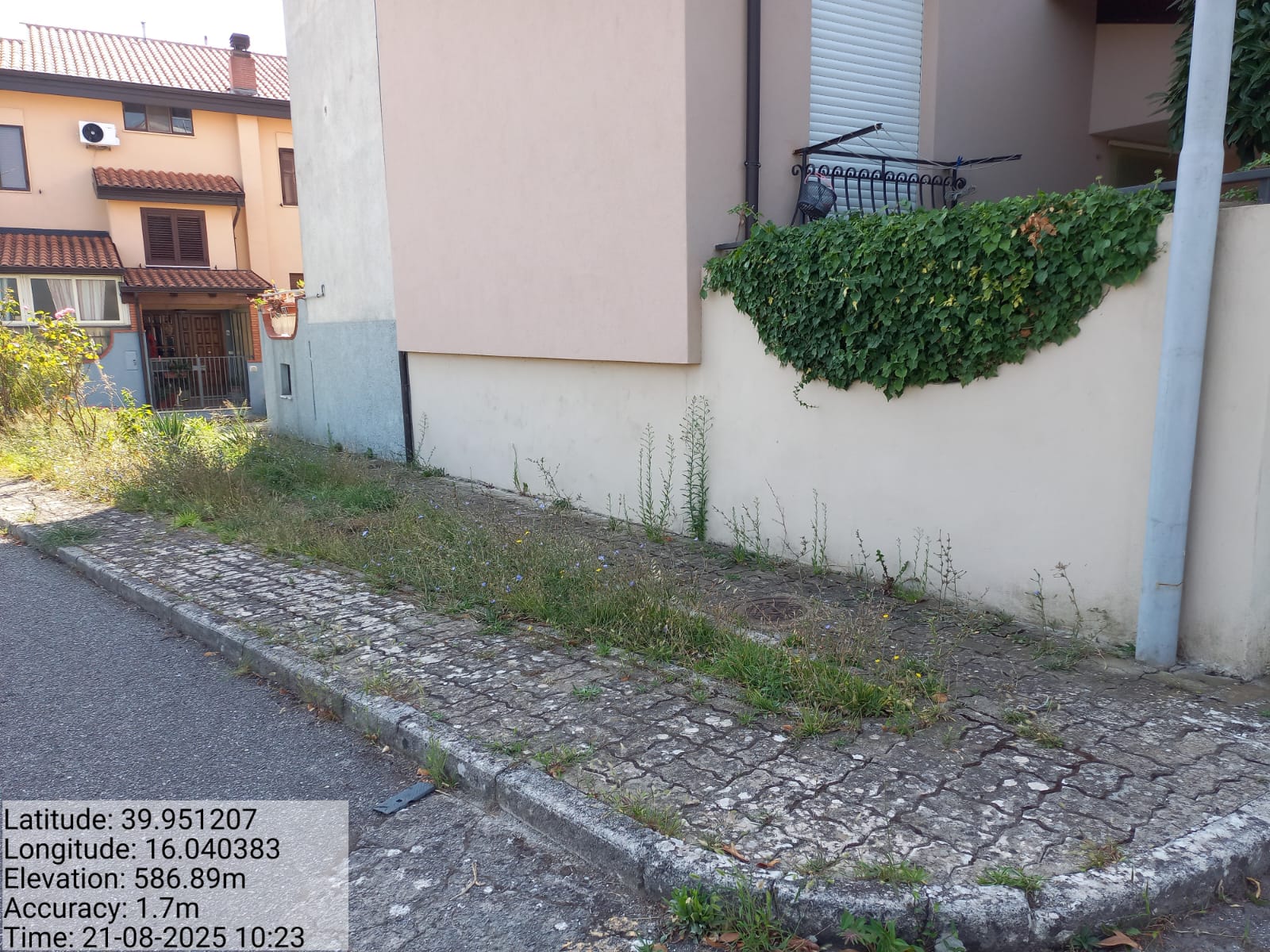 Galleria Fotografica Immagine