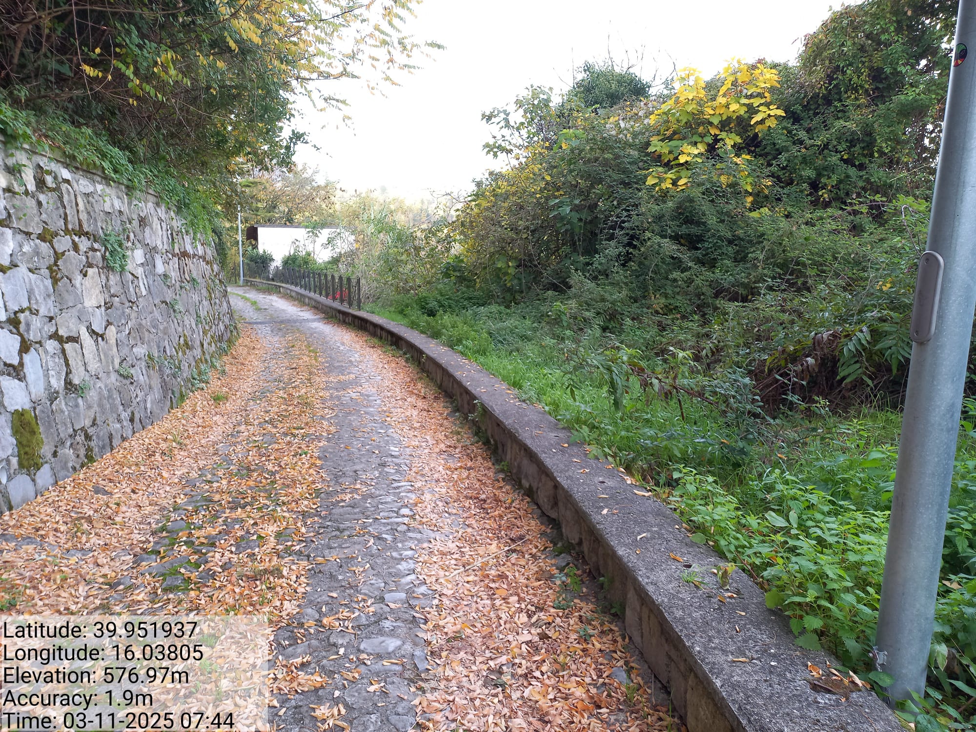 Galleria Fotografica Immagine