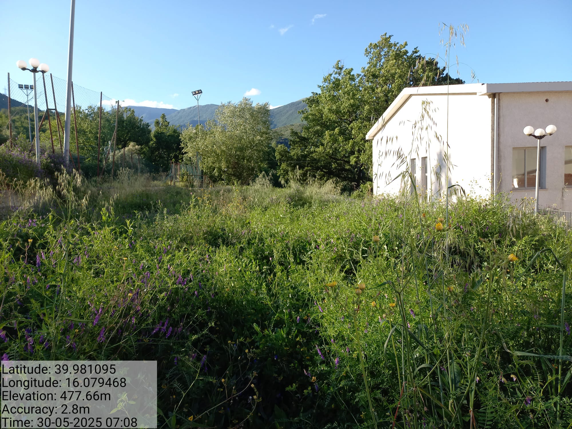 Galleria Fotografica Immagine