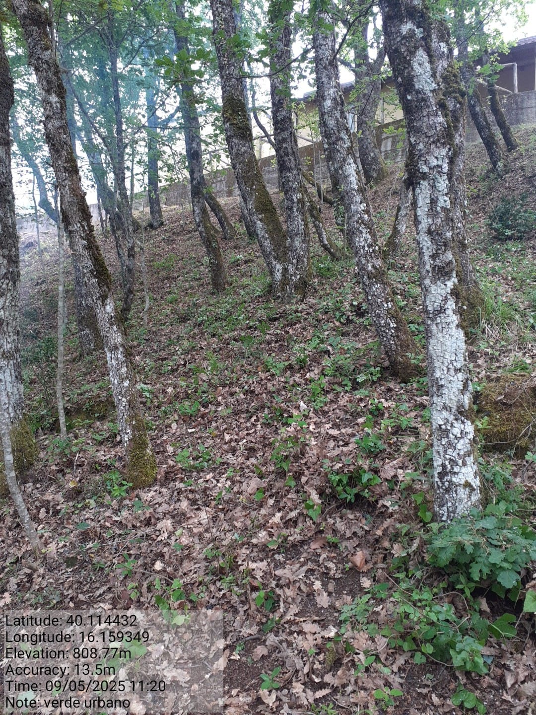 Galleria Fotografica Immagine