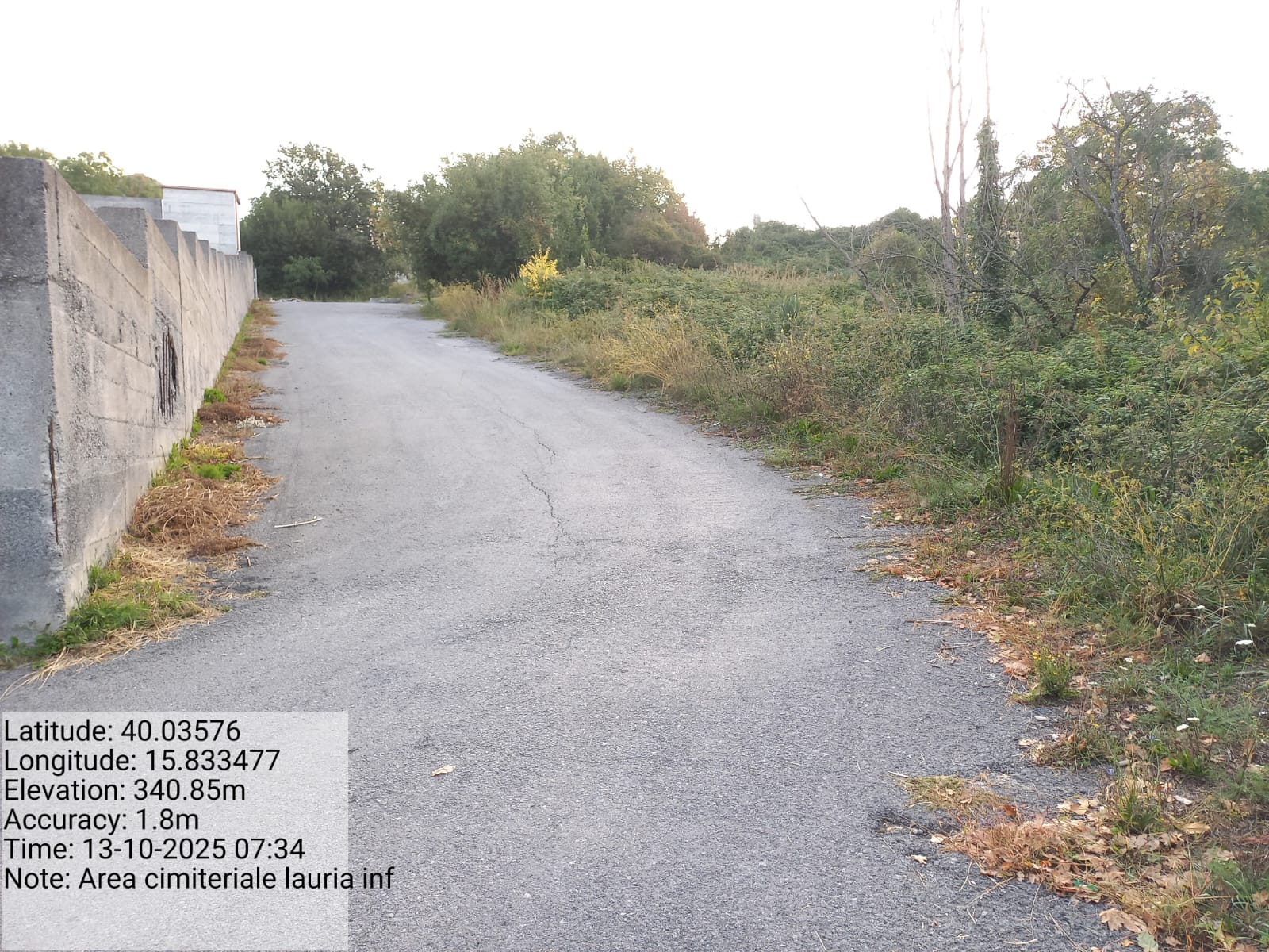 Galleria Fotografica Immagine