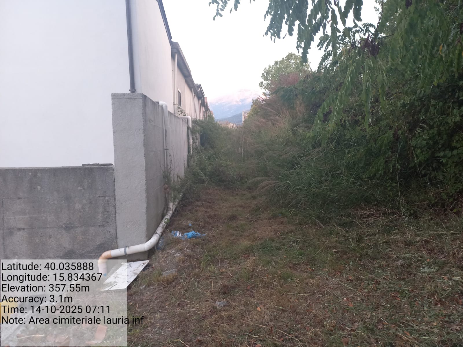 Galleria Fotografica Immagine