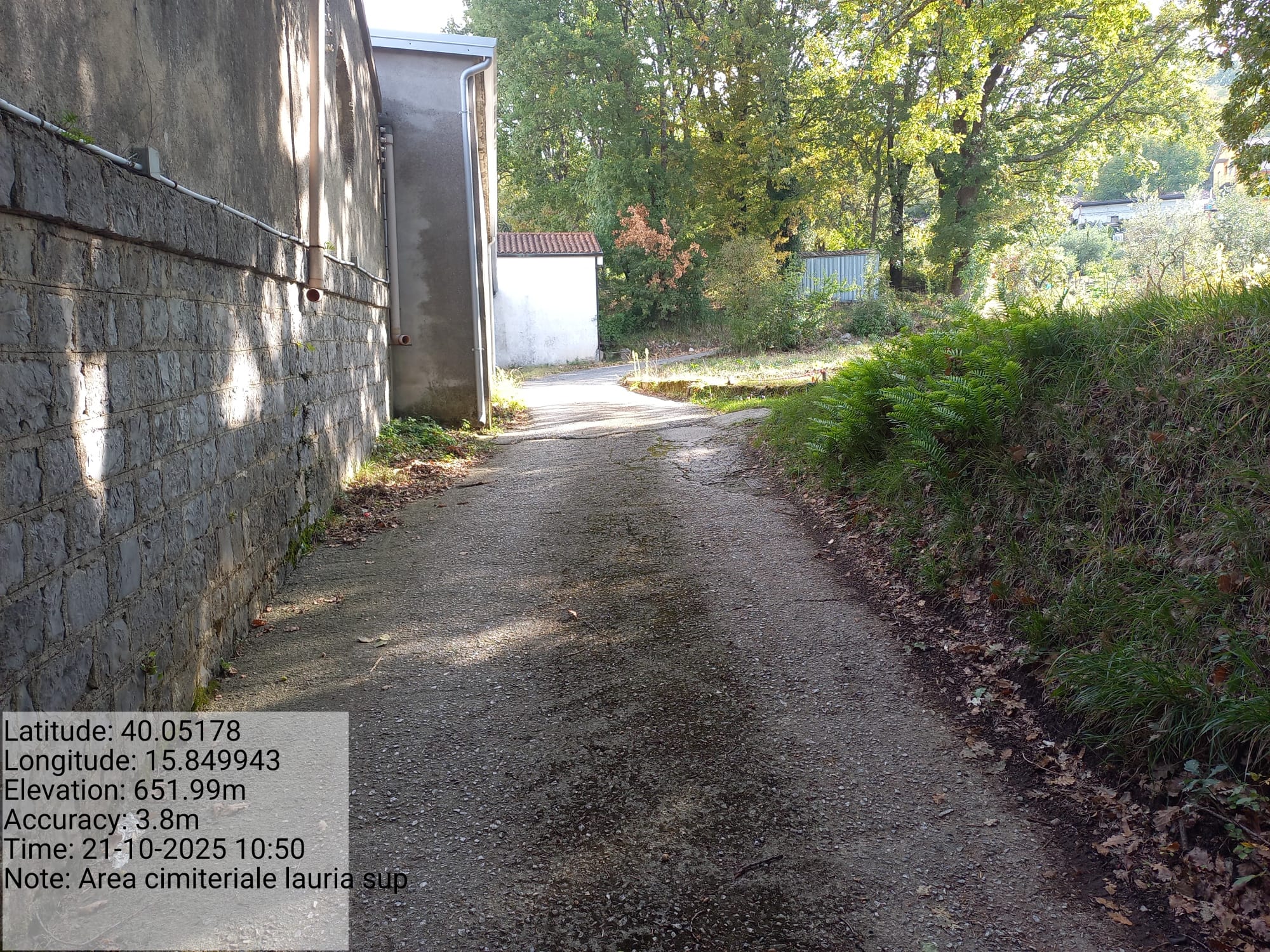 Galleria Fotografica Immagine