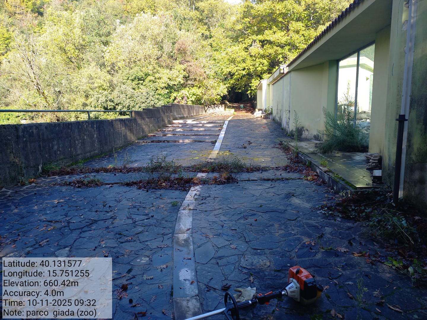 Galleria Fotografica Immagine