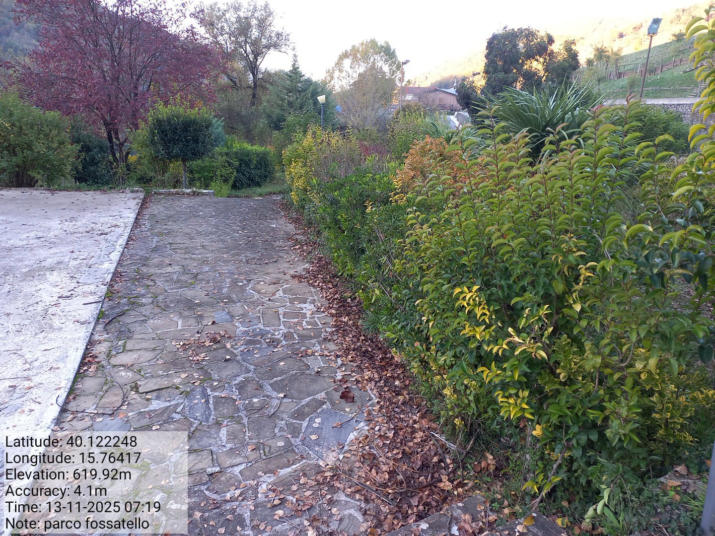 Galleria Fotografica Immagine