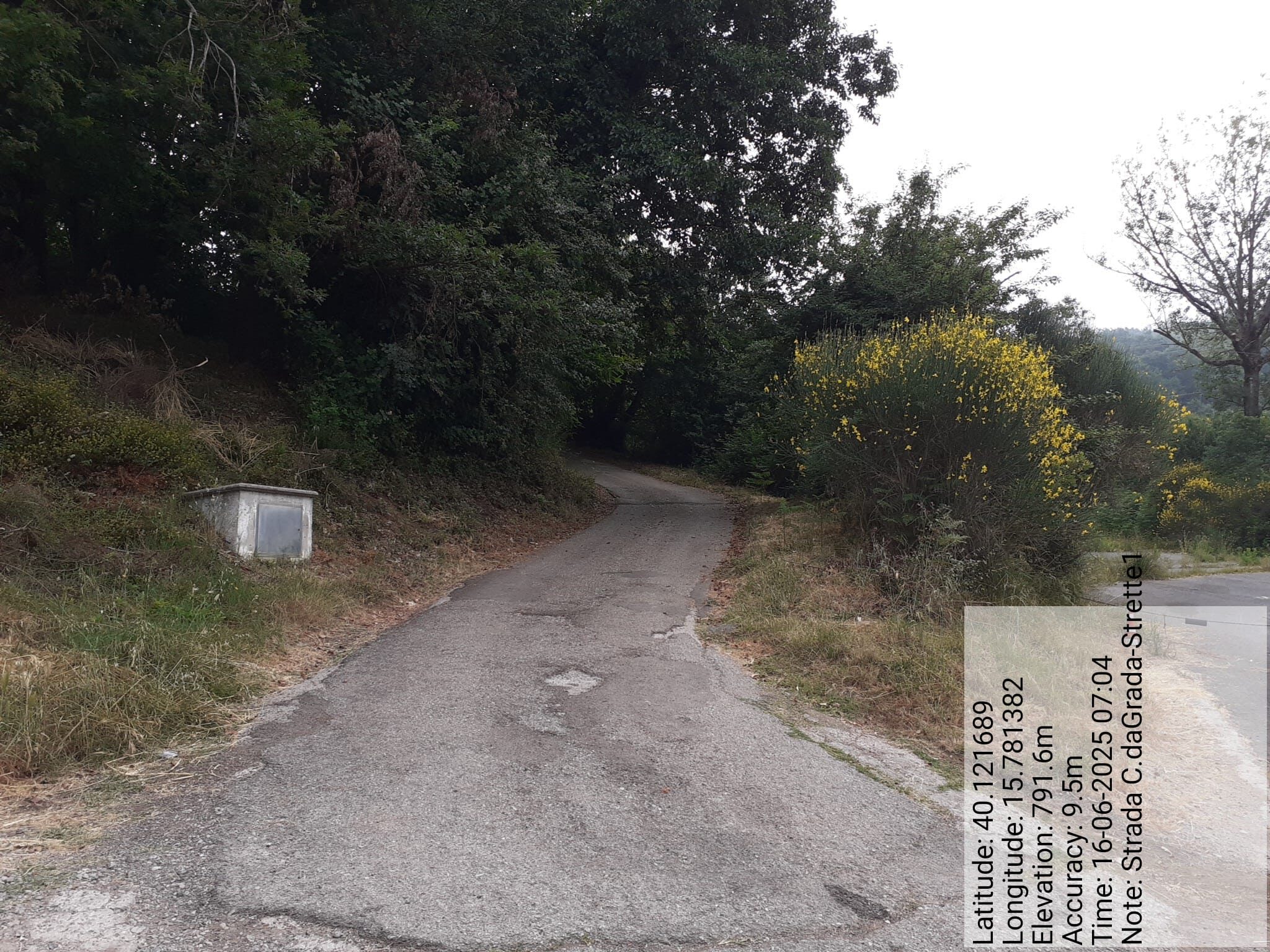 Galleria Fotografica Immagine