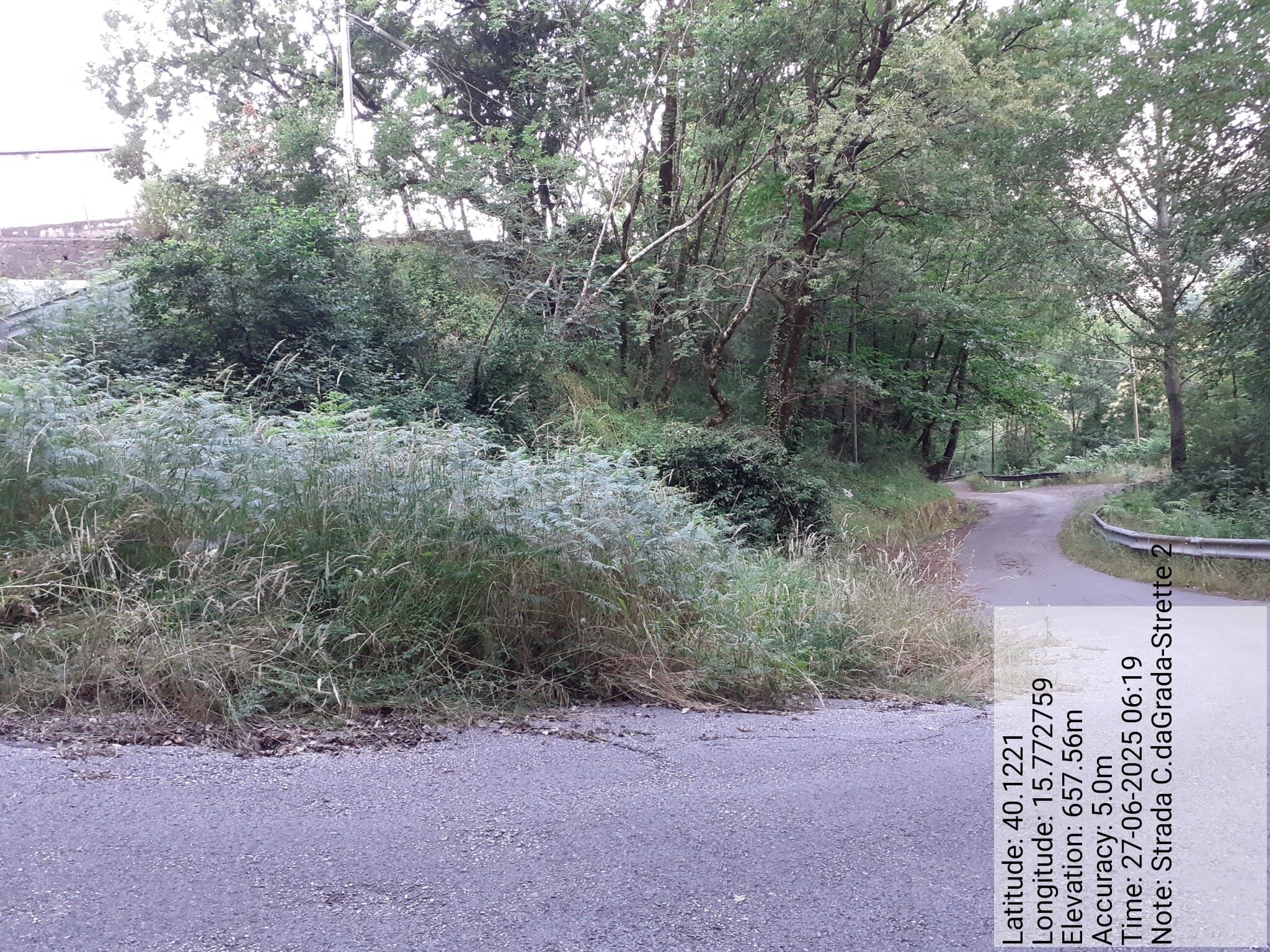 Galleria Fotografica Immagine