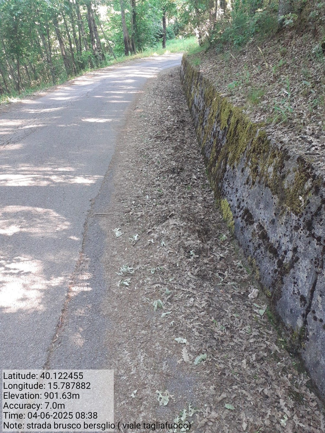 Galleria Fotografica Immagine