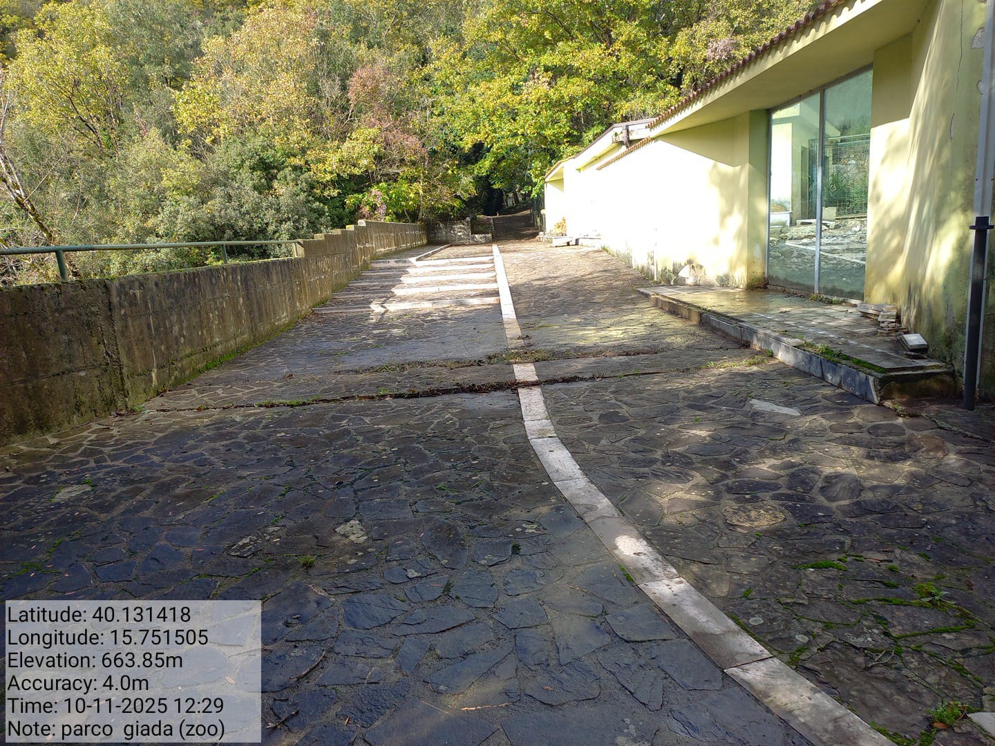 Galleria Fotografica Immagine