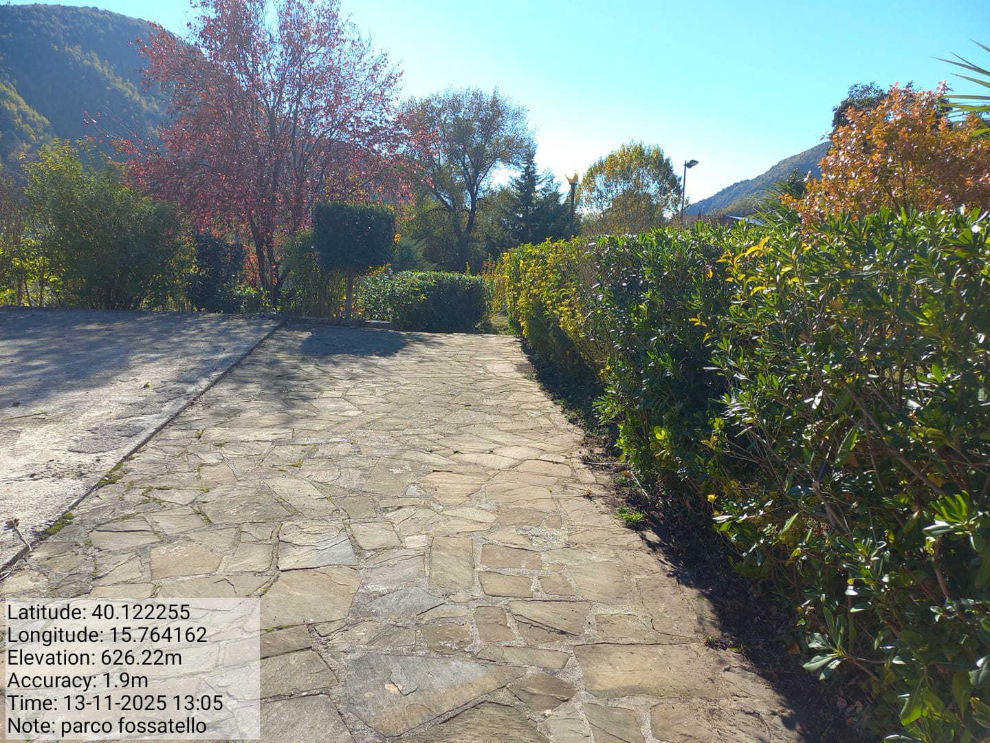 Galleria Fotografica Immagine