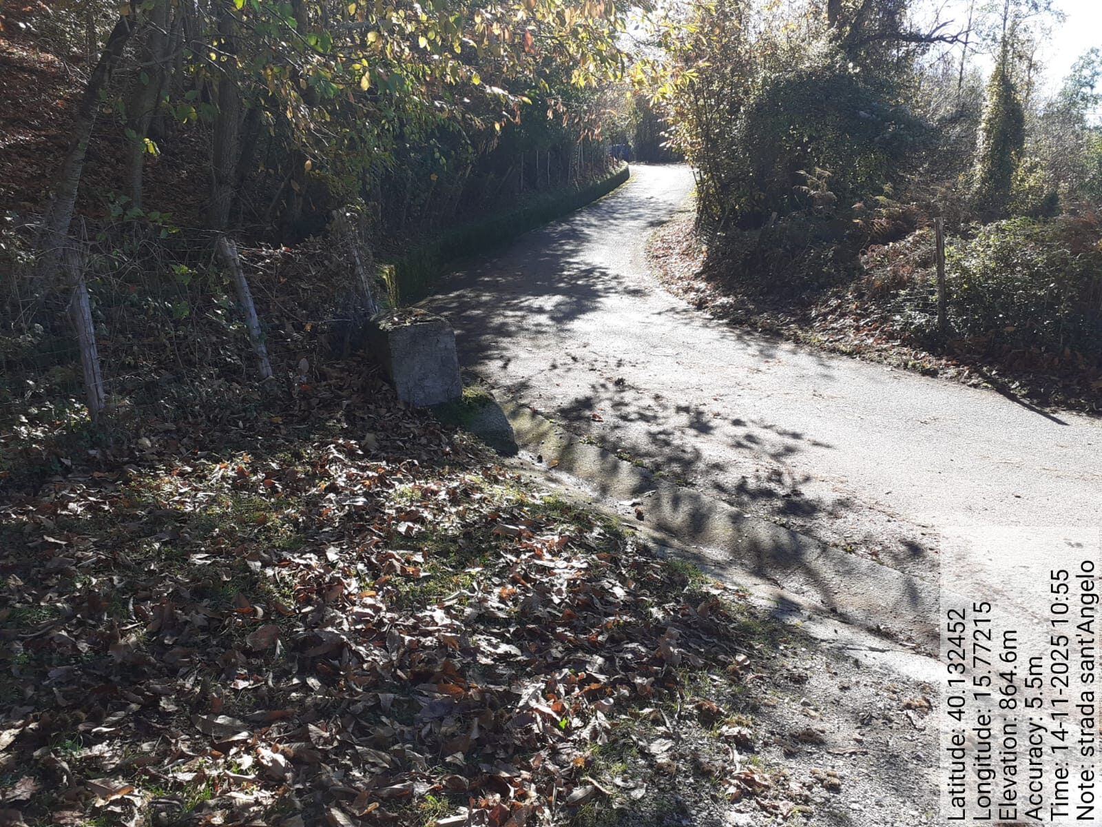 Galleria Fotografica Immagine