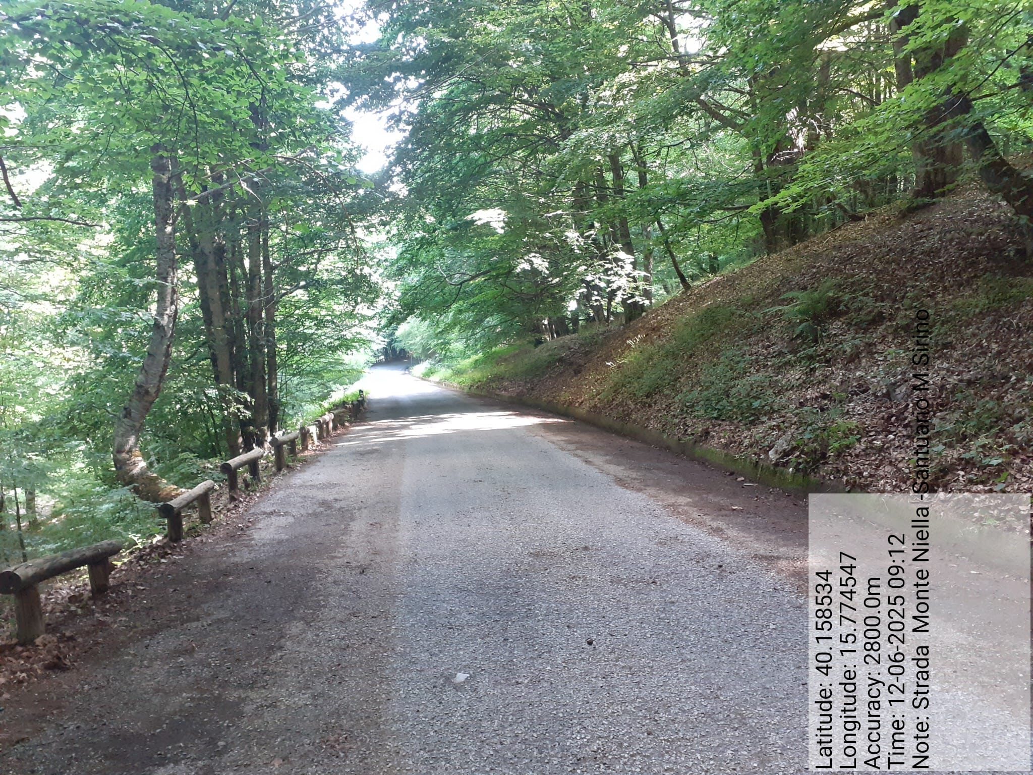 Galleria Fotografica Immagine