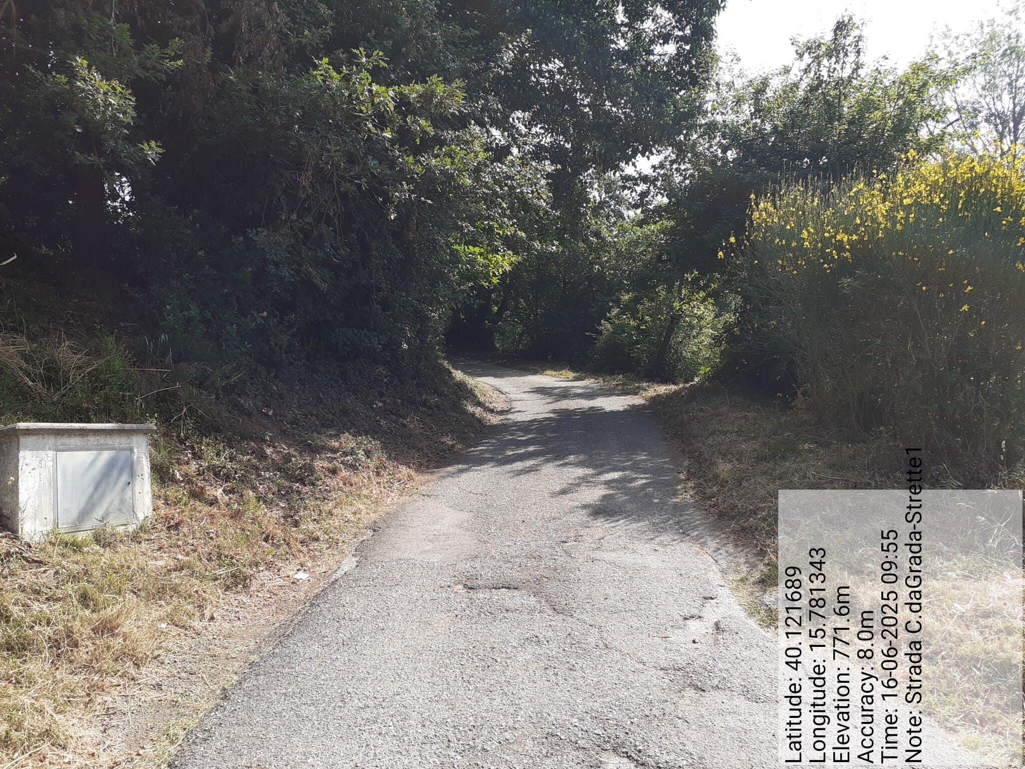 Galleria Fotografica Immagine