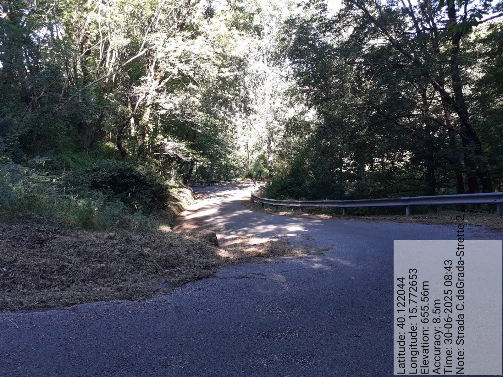 Galleria Fotografica Immagine