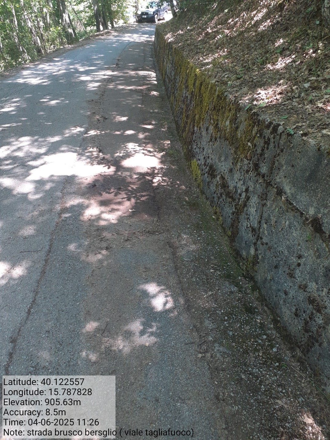 Galleria Fotografica Immagine