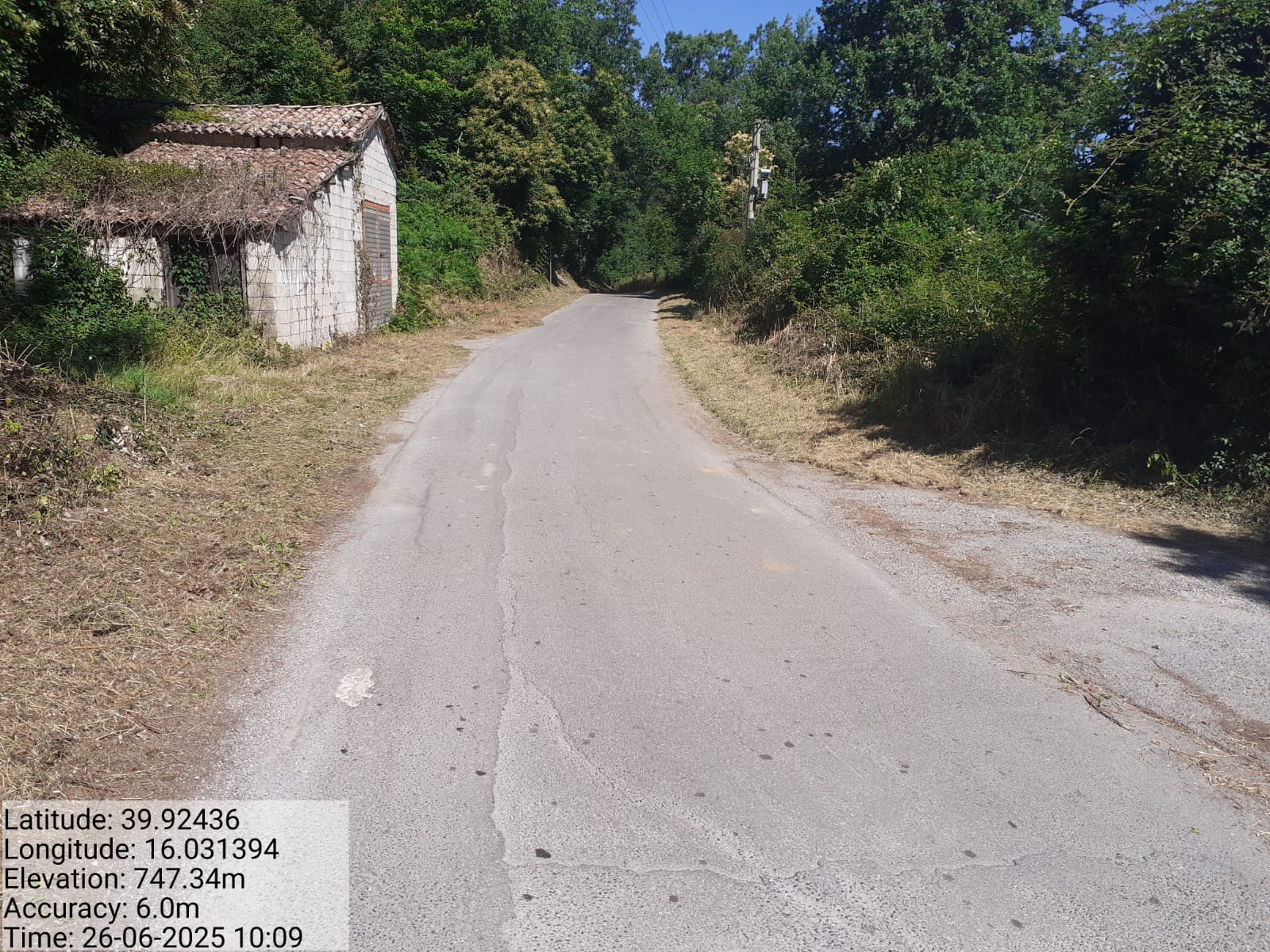 Galleria Fotografica Immagine