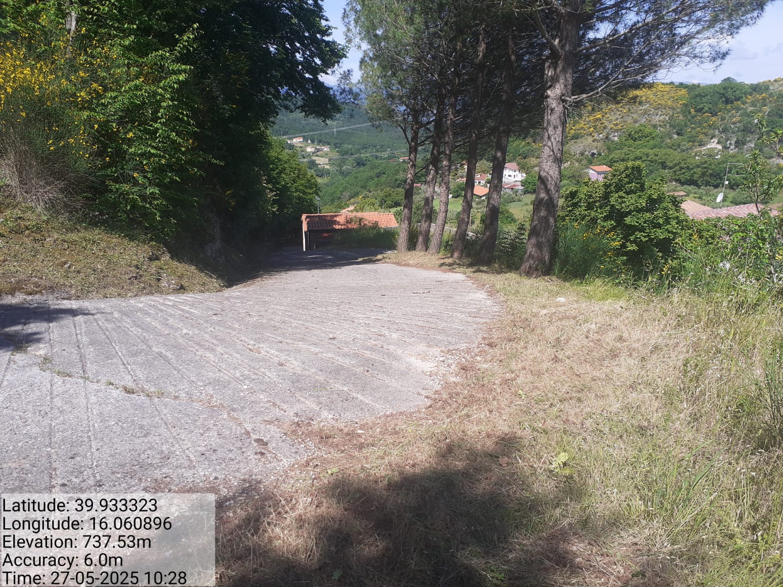 Galleria Fotografica Immagine