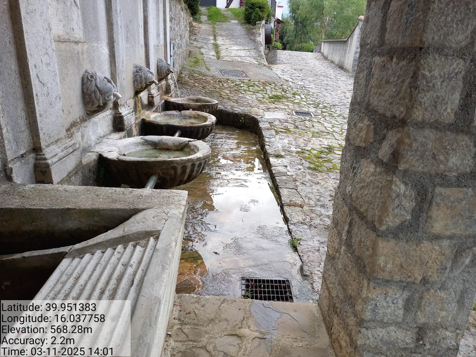 Galleria Fotografica Immagine