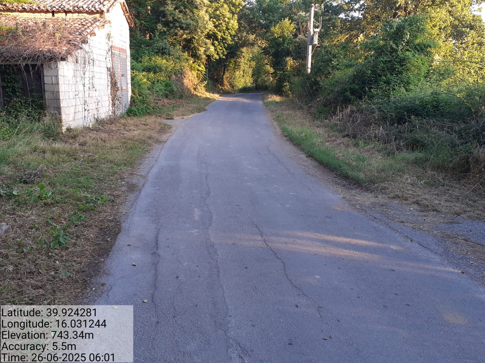 Galleria Fotografica Immagine