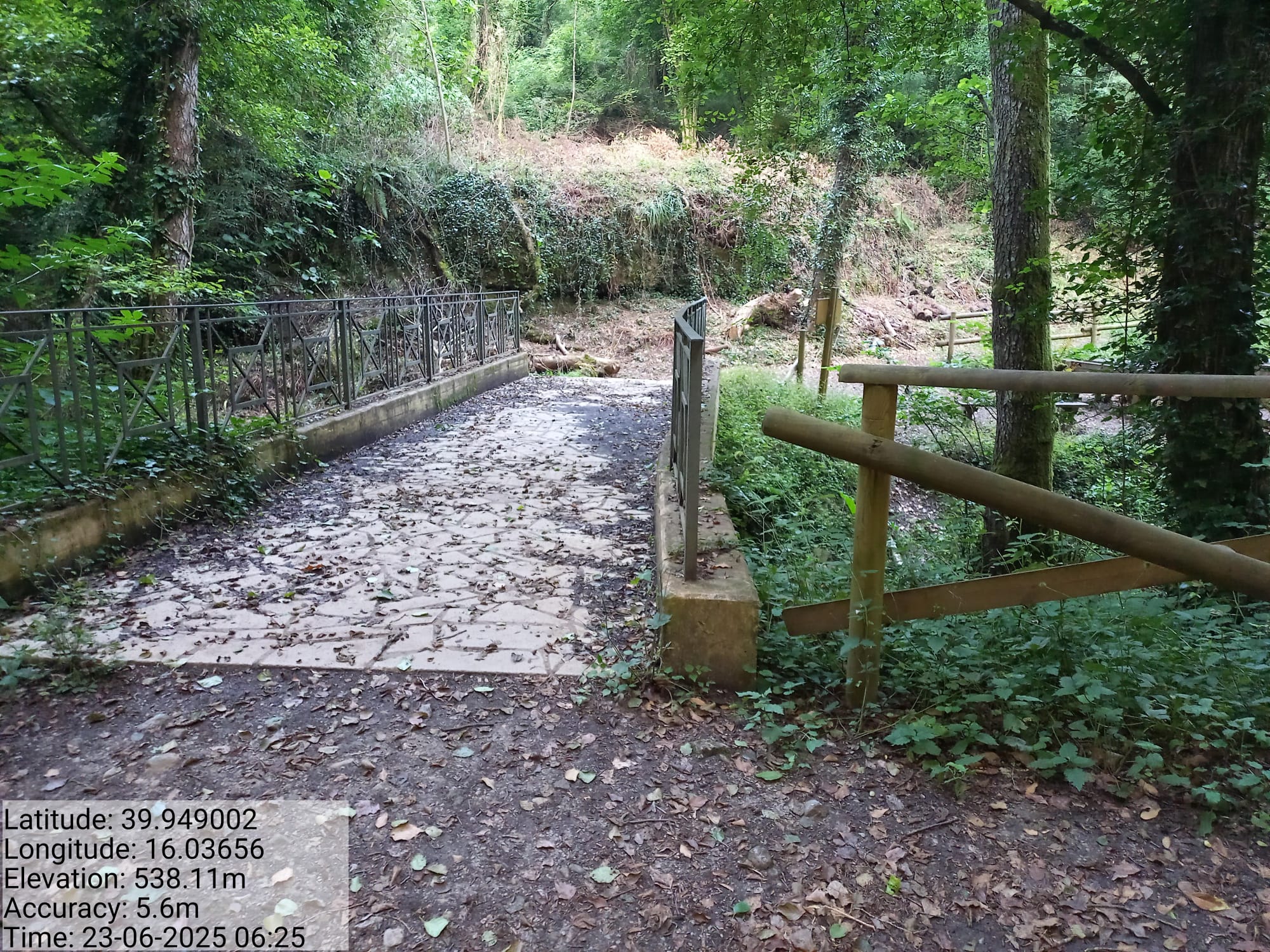 Galleria Fotografica Immagine