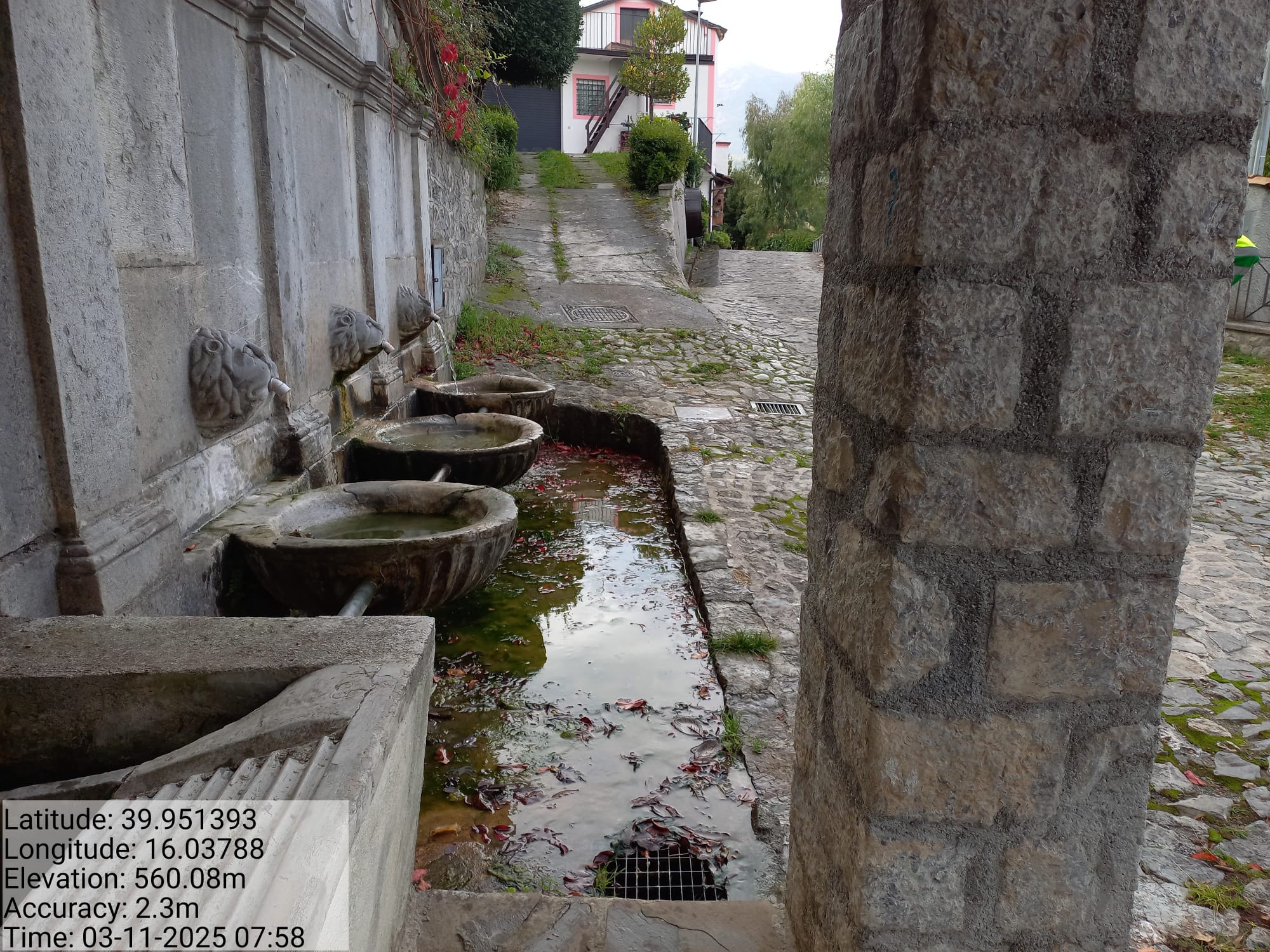 Galleria Fotografica Immagine