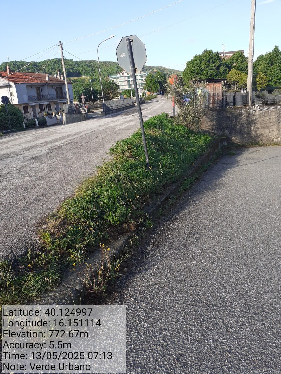 Galleria Fotografica Immagine