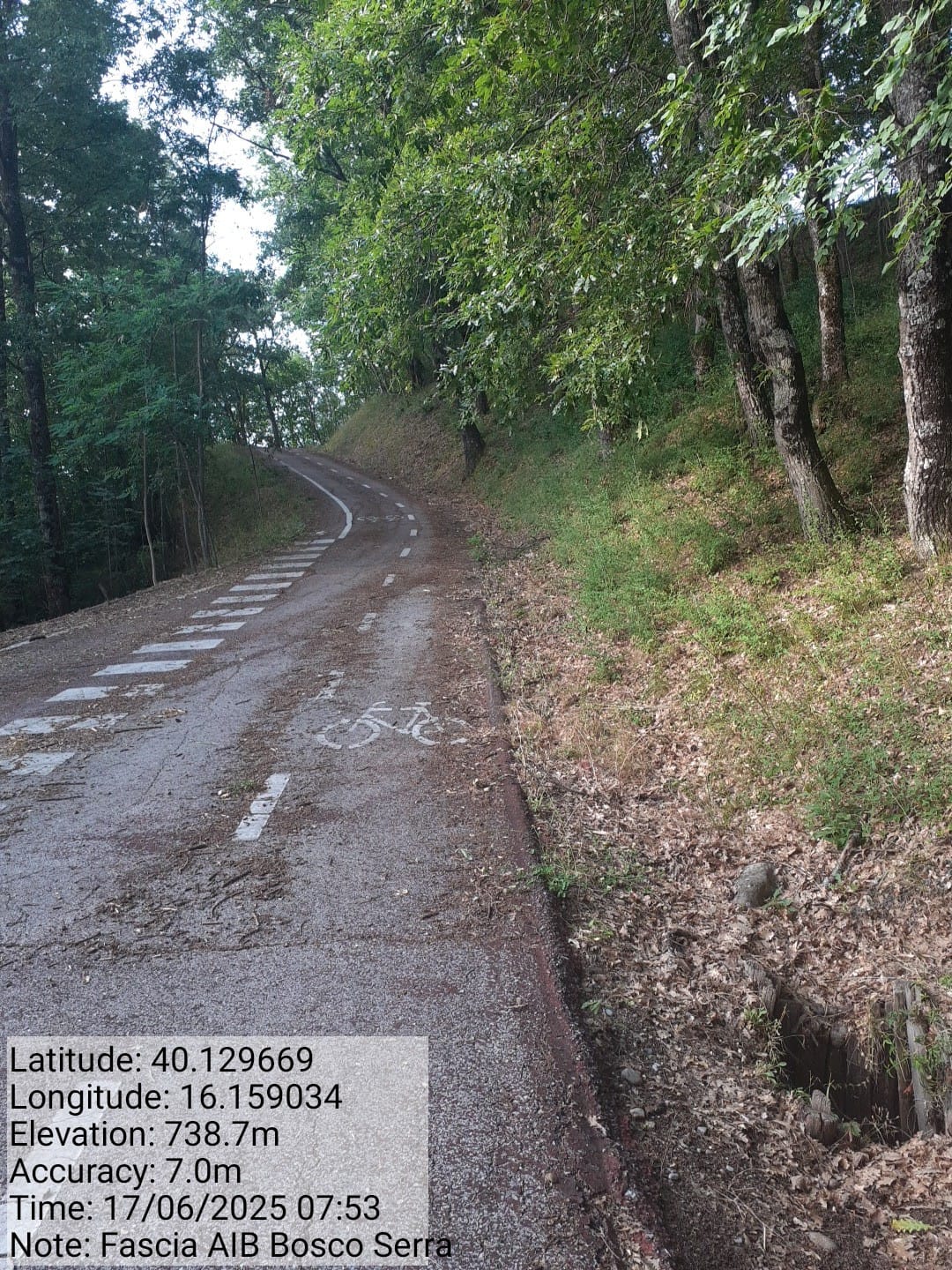 Galleria Fotografica Immagine