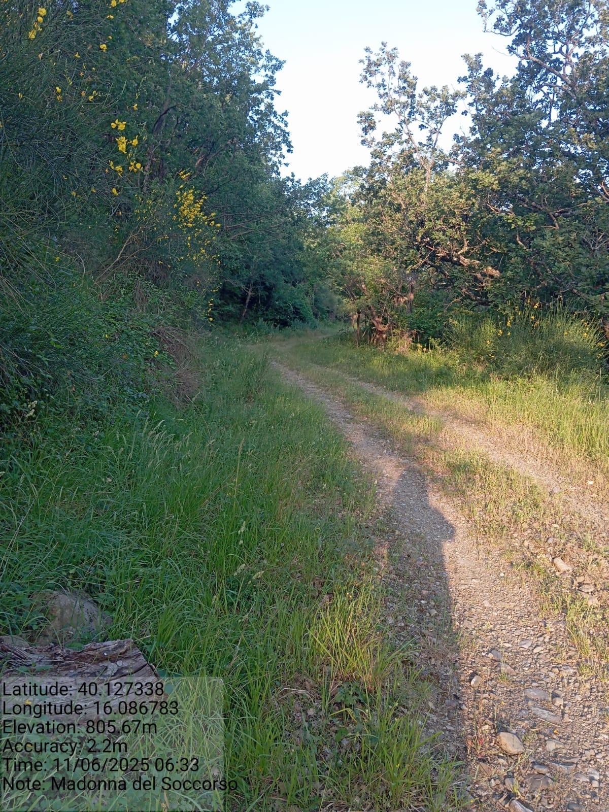 Galleria Fotografica Immagine