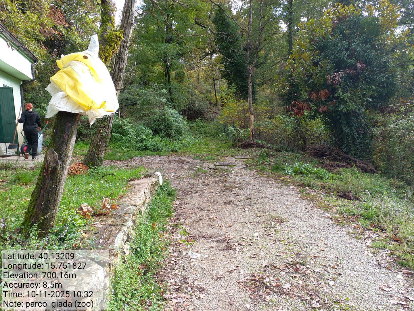 Galleria Fotografica Immagine