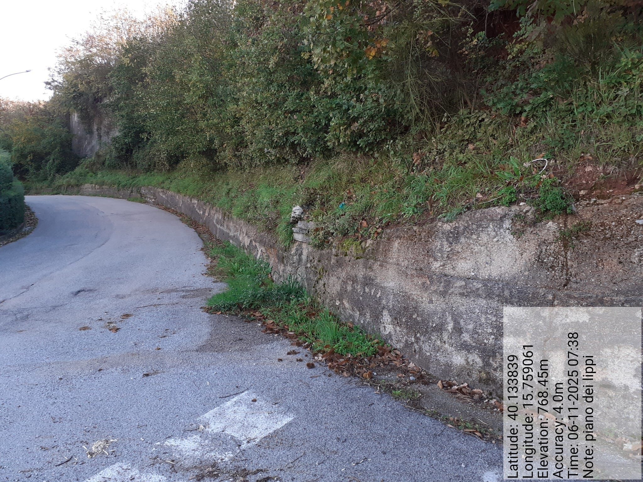 Galleria Fotografica Immagine